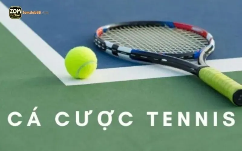 Cá cược tennis ZomClub: 3 lý do bạn nên thử ngay